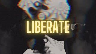Two Wolves In Alaska - Liberate (Official Video)