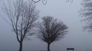 Cork City Series - "Fog Stories", The Marina, Cork