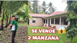 BONITO TERRENO A LA VENTA/Son 2 Manzanas CON CASA Árboles FRUTALES/CERCA Nueva Concepción Escuintla