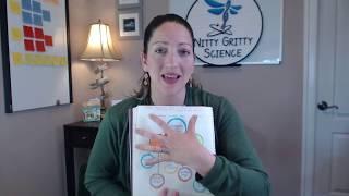 Science Interactive Notebooks for Independent Learning