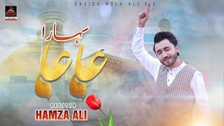 Sahara Ali Ali | Hamza Ali || 2023 || Imam Ali A.s Qasida | Rajab Qasiday