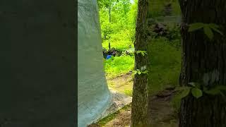 Hobbit House on 5.3 Acres! Owner financed Land for Sale! CG65 #shorts #offgrid #hobbithouse