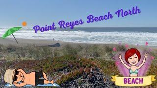 How to Explore Point Reyes Beach, North: A MUST visit