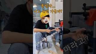 [국내여행] 풀빌라, 영유아들의 천국. 추천vs비추천 #가족여행#풀빌라