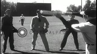 Film stars James Stewart, Shelley Winters and Dan Duryea arrive for a baseball tr...HD Stock Footage