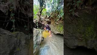 Amazing this man got gold between the rocks of the ancient river #discoveringgold #findinggold