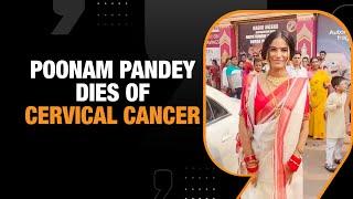 Poonam Pandey Dies Of Cervical Cancer Day After Centre Encourages HPV Vaccination| News9