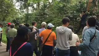 1080321秀林鄉重光部落咖啡栽培管理班