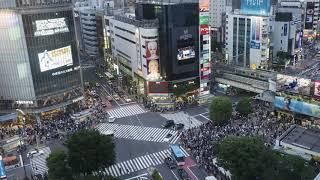 Shibuya Crossing Timelapse