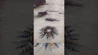 Man made art with rocks that he find near ocean #ocean #rock #artist #manmadebeach #art #short