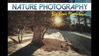THE GREAT OUTDOORS: Big Bear Mountain Nature Photography Trip