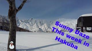 This week in Hakuba. Bluebird days, park, some pow and some footage of the elusive Jigatake resort