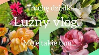 Trochę działki i moje takie tam. Luźny vlog. 18.06.2024.