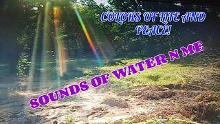 CAN WE FIND PEACE ANYWHERE? farm, tiny house, homesteading,   RV life, RV living|