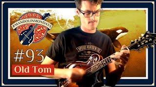 "Old Tom" /// David Benedict Mandolin
