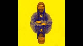 TSHEGUE - When You Walk (audio)