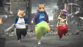 2011 MTV KIA Commercial Parody - Hamster Dance (The Boomtang Boys)