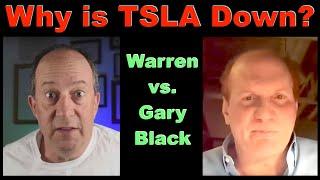 TESLA vs. Wall Street: Warren analyzes Gary Black