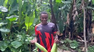 Simple joys of village life #hossanna #ethiopia