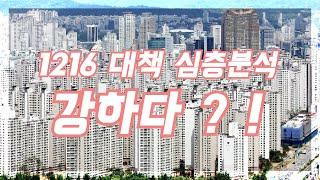 [#25]1216 대책, 심층분석, 강하다? 자금출처조사와 대출,세금,더강한놈 있다. (feat. 소피스트박)