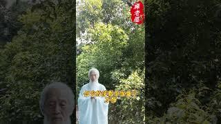 掙扎還有意義嗎?# #道家哲學 #人生道理 #道家思想 #人生感悟 #人生智慧 #佛學 #正能量 #禪語 #禪語錄 #老人言#禪老道 #道家文化 #道家 #道家养生 #人生道理 #人生 #人生哲理
