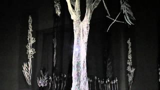 FloraNonEvidens.mov