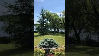 Listen to the Birds Meditation
