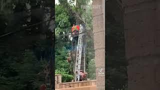 Woman almost killed by tree branch