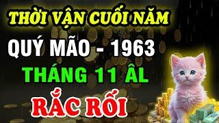 Tử Vi Tháng 11 ÂL Tuổi Quý Mão 1963: Vận Trình Lắm Điều Mệt Mỏi, Cẩn Trọng Từng Bước, Chú ý thái độ