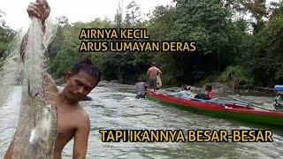 SERUNYA MENJALA IKAN DI ARUS DERAS, IKANNYA BESAR-BESAR.