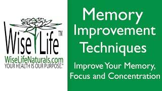 Memory Improvement Techniques: Improve Your Memory, Concentration and Focus With Natural Supplements