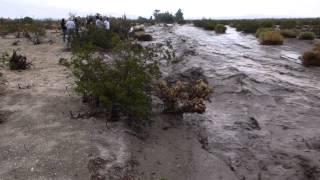 Flash flooding in Borrego Springs