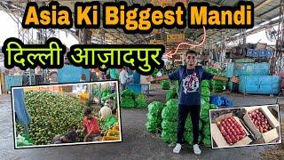 Asia Ki Biggest Mandi  | #asia #biggest #mandi #delhi #azadpur