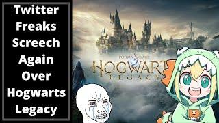 Hogwarts Legacy Release Announcement On Switch Causes Twitter Freaks To Seethe