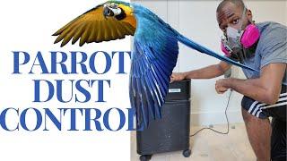 Managing Parrot Dust: 3 Proven Methods for a Cleaner Home! | Parrot Care