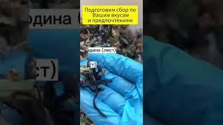  Травяной сбор для крепкого иммунитета