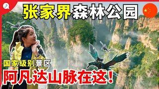 【中国EP6】马来西亚人玩张家界森林公园！仙境张家界，峰迷全世界！阿凡达取景地就在这！这地方真的绝美！  @JustTravel-JaniceJaguar