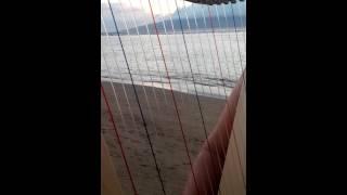 Wind activating a harp