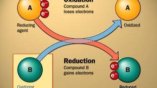 REDOX Class 11th Standard