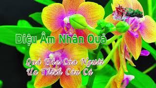 Quả Báo Của Người Ưa Thích Câu Cá - Diệu Âm Nhân Quả