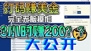 打码赚美金  3小时200美金？？盘他！！