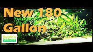 Aquarium Filtration and Aquarium Water flow with Bryan in a New 180 Gallon Fish Tank