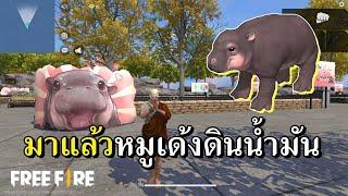 หมูเด้งจักรวาลฟีฟาย