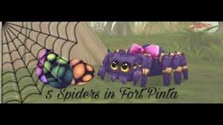 5 Spiders in Fort Pinta [SSO]