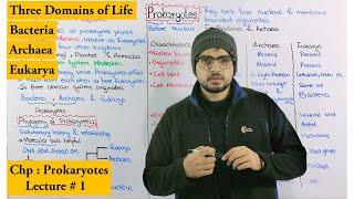 Prokaryotes introduction and comparison of three domains of life