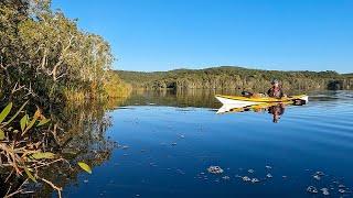 Kayaking on the Myall Lakes