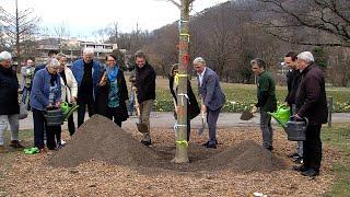 Erste Baumpflanzung der Gartenschau Bad Urach