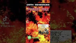 Damn Renegades #forestfire #classicrock #releaseoftheday #pa74music #shorts