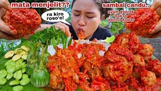 EAT, SPICY MEATBALLS, GEPREK CHICKEN, LALAPAN, RAW JENGKOL, PETE, EGGPLANT, CHILI