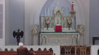 Thursday 8 AM Latin Mass for 11/14/2024